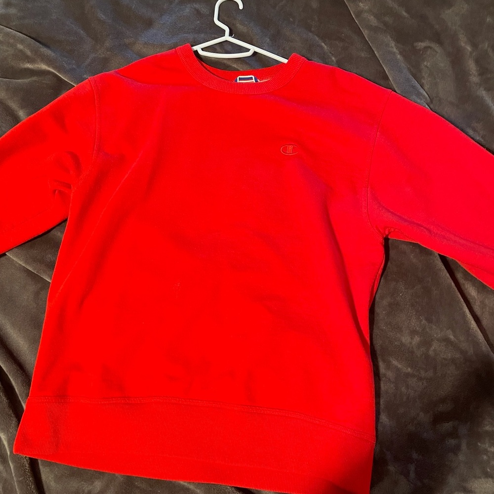 Champion crew neck.